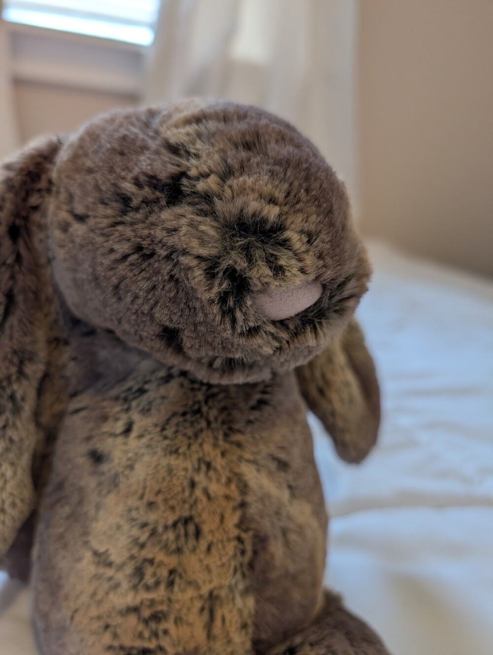 Jellycat London Bashful Woodland Bunny Stuffed Animal - Soft Plush Rabbit Sz M - Picture 8 of 12